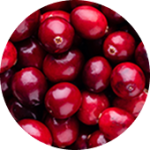 FRUITS