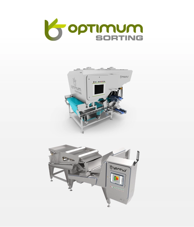MB-Service__Optimum-08