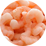 SEAFOOD